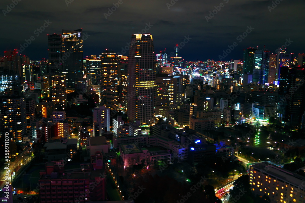 Fototapeta premium 夜の大都会