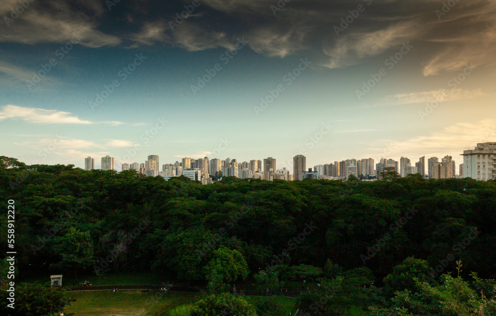 Fototapeta premium Ribeirão Preto