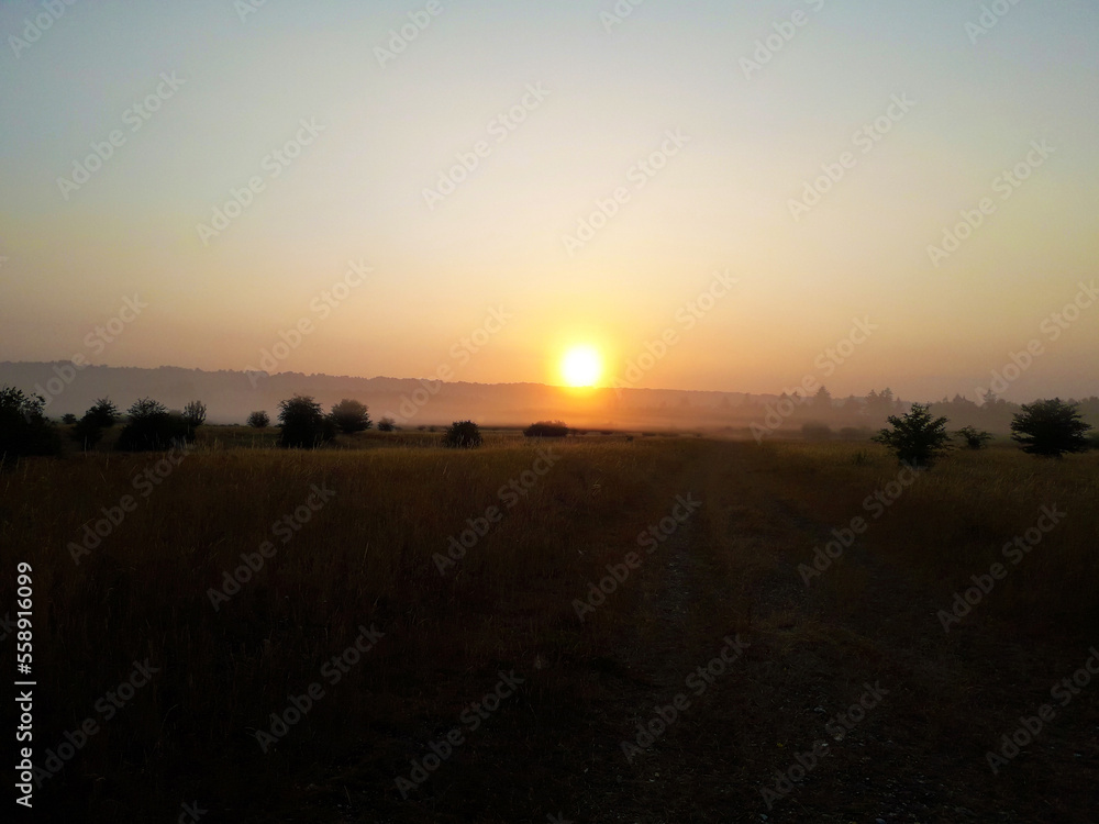 lever de soleil dans un champs 