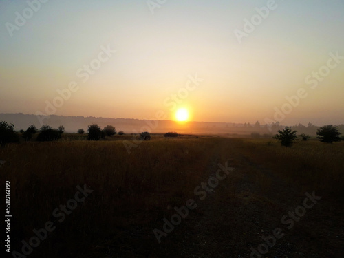 lever de soleil dans un champs  © Chappachapa