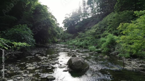 自然の湖