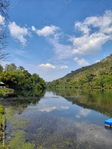 lake and forest