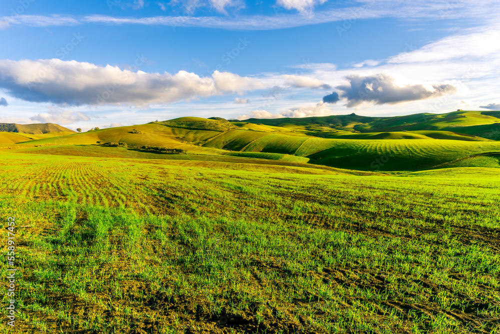 valley view in a green shiny field with green grass and golden sun rays, deep blue cloudy sky on a background , green rural hills in spring young season