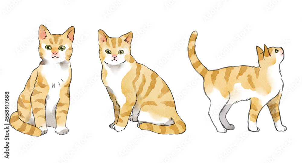 yellow cats