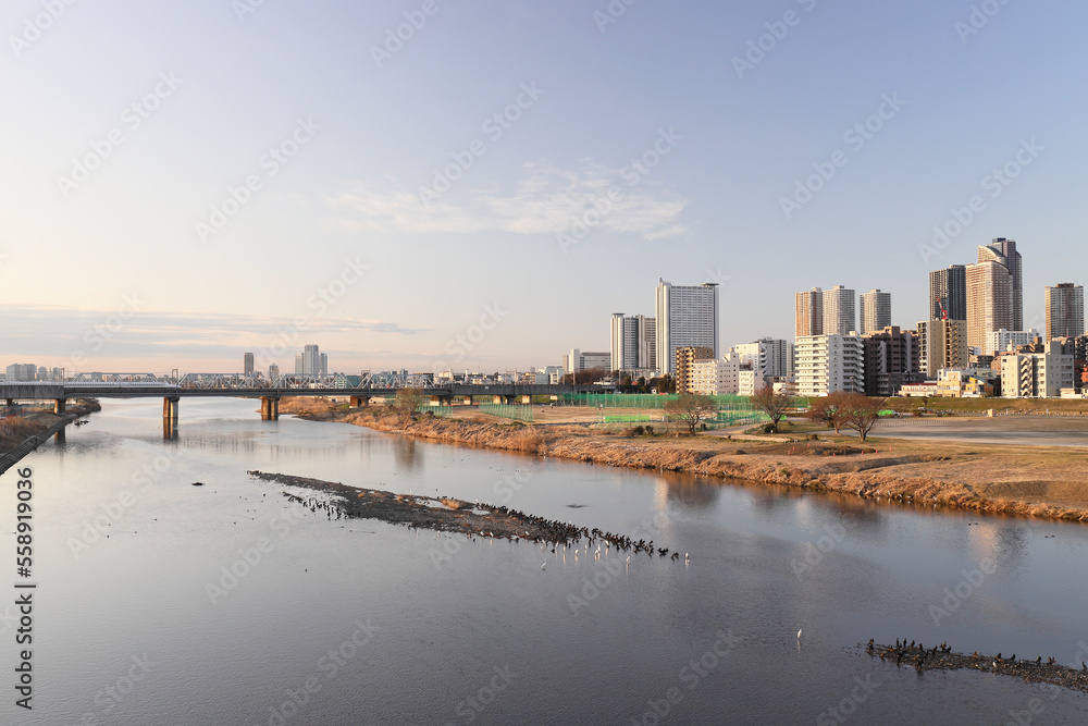 Cityscape of Tama River and Musashi Kosugi in the morning