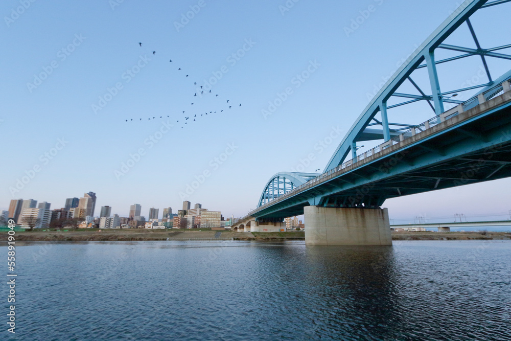 Obraz premium Cityscape of Tama River and Musashi Kosugi in the morning 2