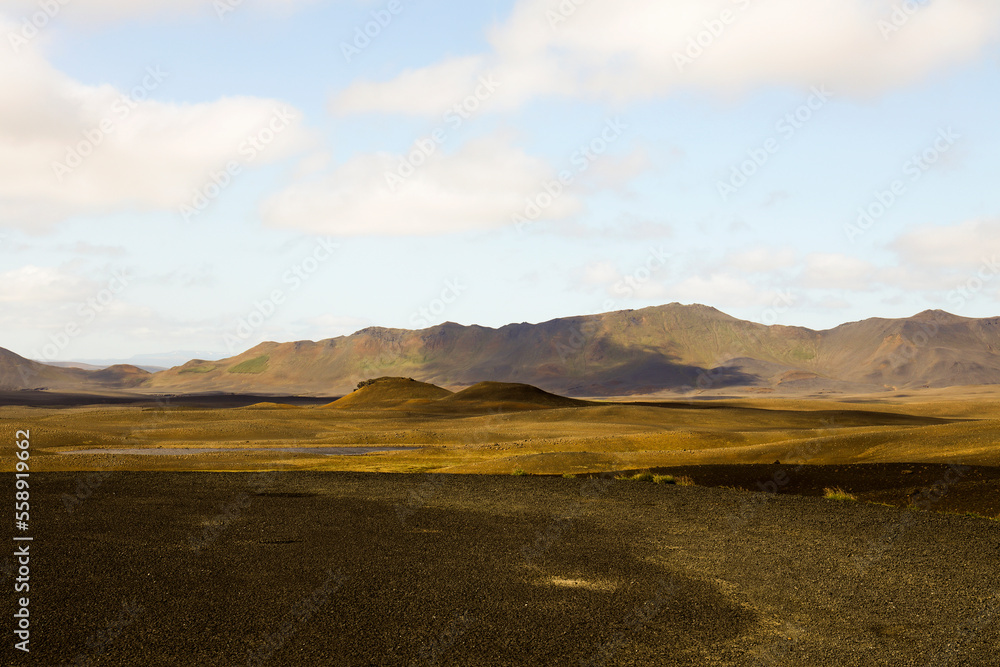 Fototapeta premium Landscape