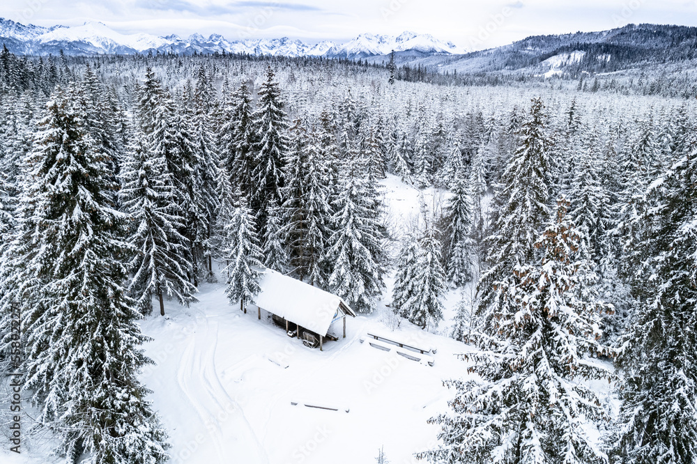 Winter landscape, snowy forest and mountains . Drone view Winter landscape, snowy forest and mountains . Drone view