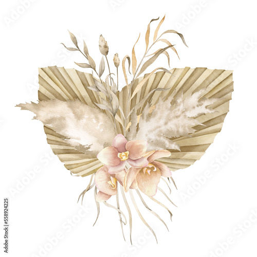 Floral watercolor illustration with Dried Palm Leaves  Pampas grass and exotic orchid Flowers. Hand drawn composition in boho style for greeting cards or wedding invitation on isolated background