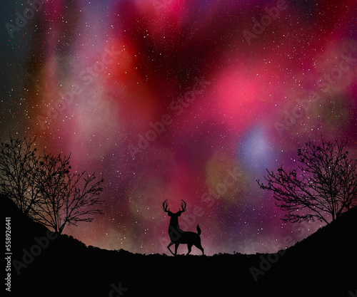 Bautiful black aurora with silhouette forest and deer