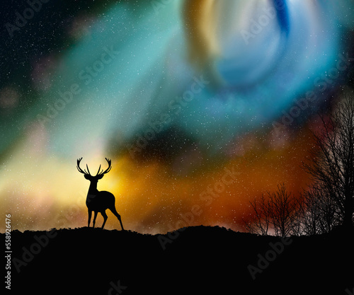 Bautiful colorful aurora with silhouette forest and deer
