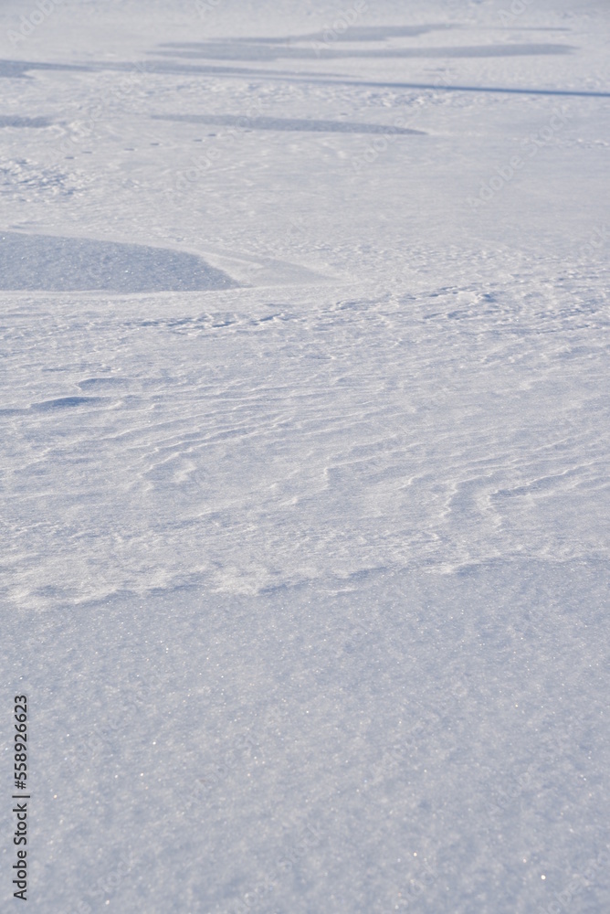 Snowy surface. White snow and snowdrifts in winter.