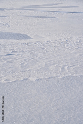 Snowy surface. White snow and snowdrifts in winter.
