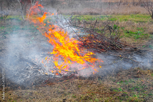 Burning dry twigs in the field. fire and the smoke of the fire.. © Natalia
