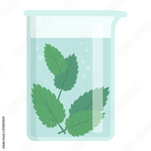 Beaker with plant leaves isolated