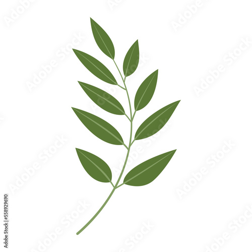 Branch with lush leaves isolated