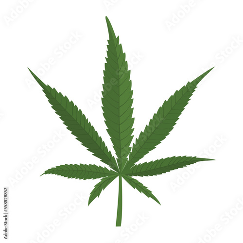 Hemp green cannabis leaf isolated