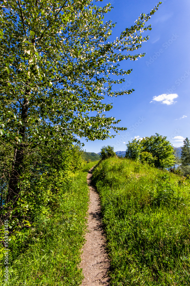 Fototapeta premium Trail in the mountains - 01