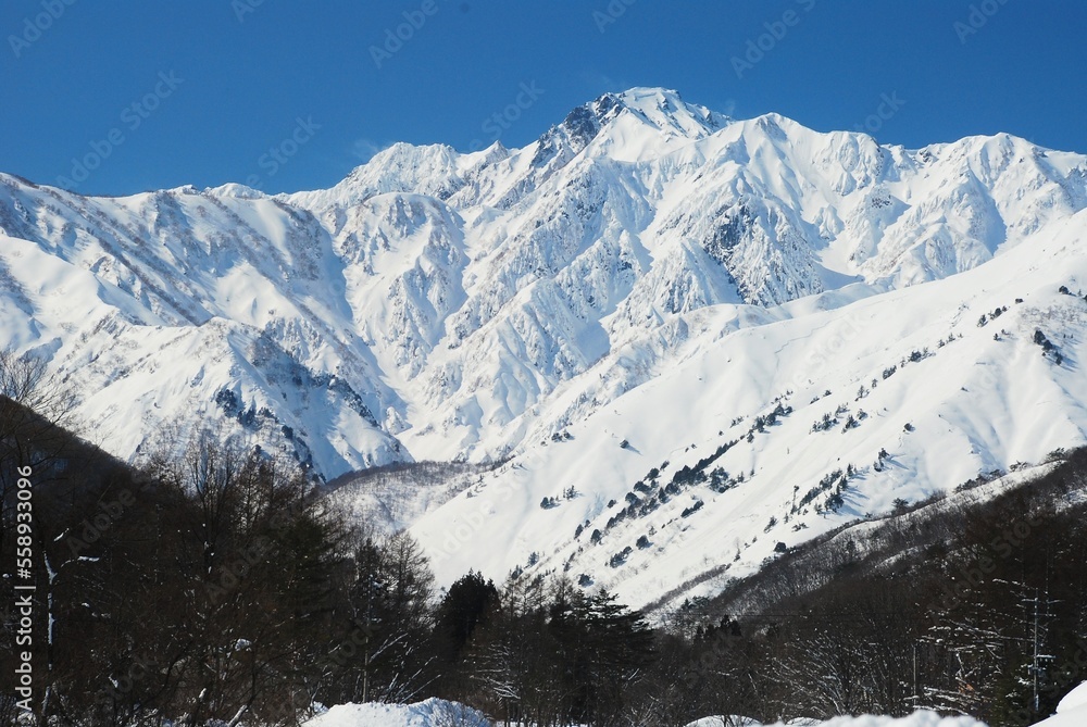 信州　白馬村の雪景色
