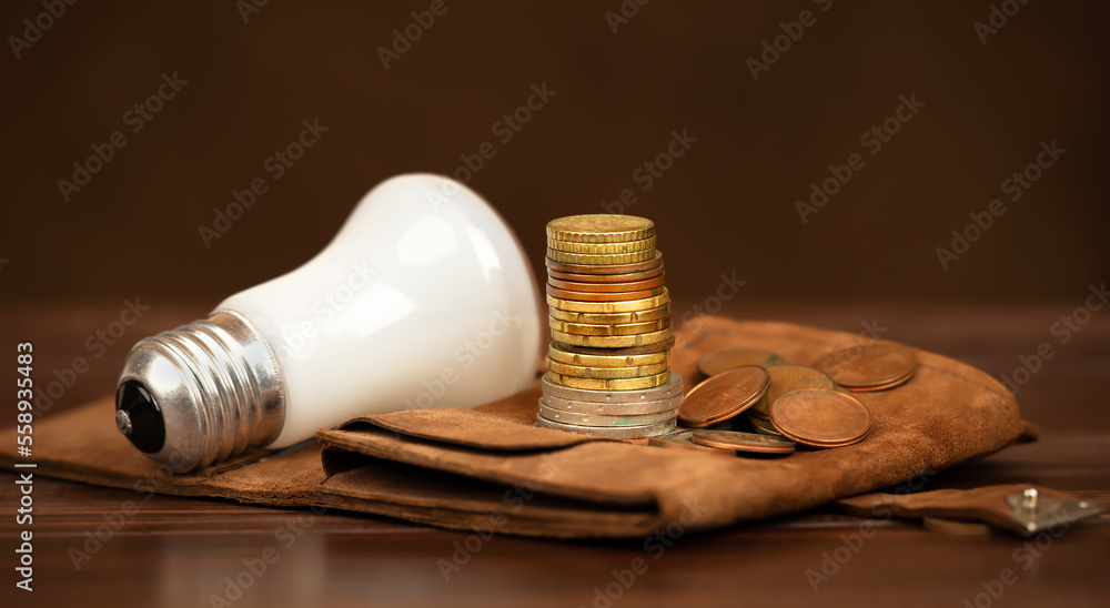 Lightbulb and money coins on a wallet. Energy savings, efficiency, save power or energy crisis banner. Change lightbulb. Lightbulb and money coins on a wallet. Energy savings, efficiency, save power or energy crisis banner. Change lightbulb.