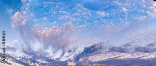 blue sky with rain clouds, panorama for horizontal natural background