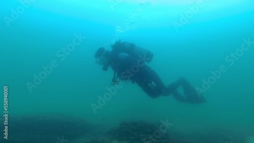 Wallpaper Mural UKRAINE, BLACK SEA - July 07, 2018: diver swims above the seabed in the Black Sea, underwater landscape Torontodigital.ca