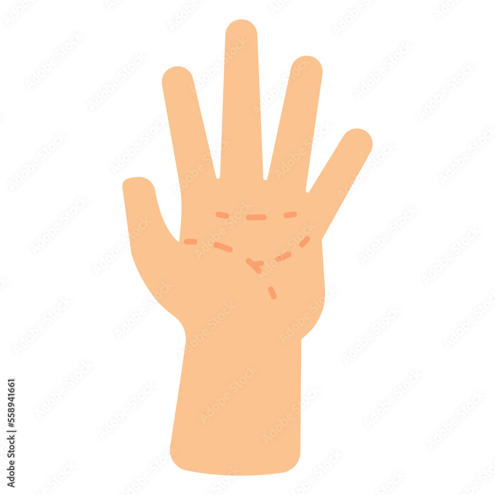 lines of palm hand reading illustration