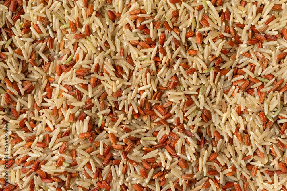 Close view of a portion of long grain brown rice and red rice.