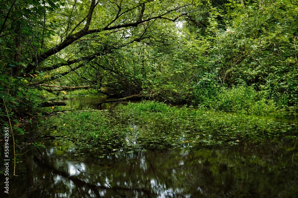 Nature on the Amper river, near Dachau, Bavaria. Nature on the Amper river, near Dachau, Bavaria.