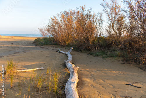 Obraz na płótnie Bibione w salonie