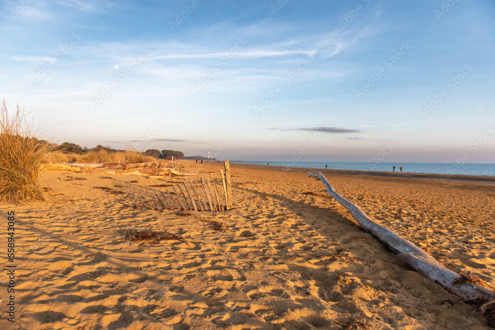 Bibione