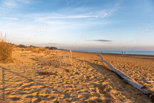 Obraz na płótnie Bibione w salonie