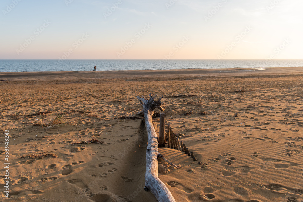 Bibione