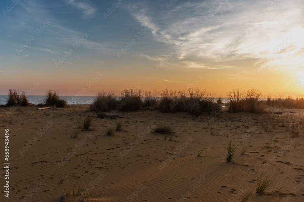 Bibione