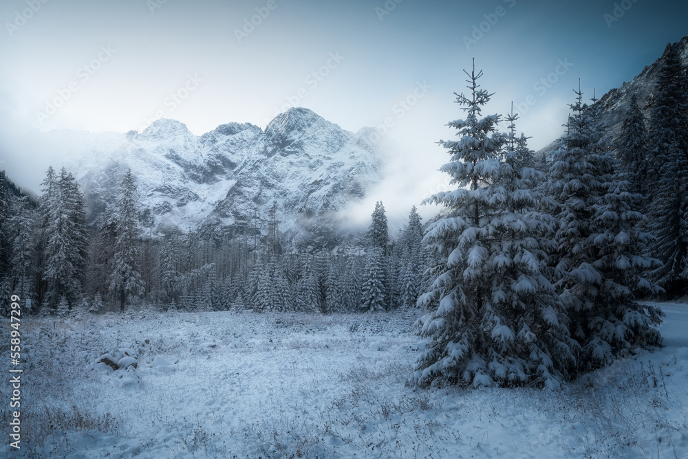Tatry zimą - obrazy, fototapety, plakaty 