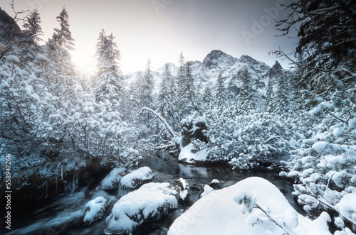 Fototapeta Naklejka Na Ścianę i Meble -  Tatry zimą