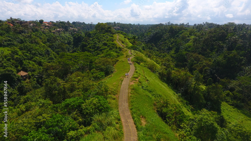 Aerial view of Campuhan Ridge Walk in Ubud, Bali