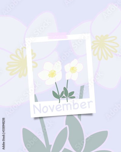 Minimalist flat floral illustration of white Christmas rose flowering plant. November concept theme, modern muted colors. Trendy calendar, autumn season.