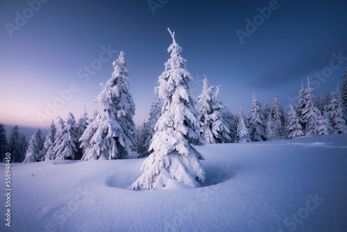 Fototapeta Naklejka Na Ścianę i Meble -  Zima na Rysiance