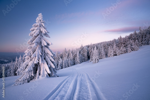Fototapeta Naklejka Na Ścianę i Meble -  Zima na Rysiance