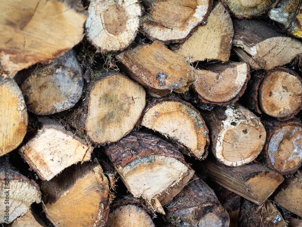 Close up of wood pile.Stacked pile, natural sawn timber grunge background, top view.Wooden logs background. Year rings. Pile wood. Deforestation theme. Wood industry. Wood scene Close up of wood pile.Stacked pile, natural sawn timber grunge background, top view.Wooden logs background. Year rings. Pile wood. Deforestation theme. Wood industry. Wood scene