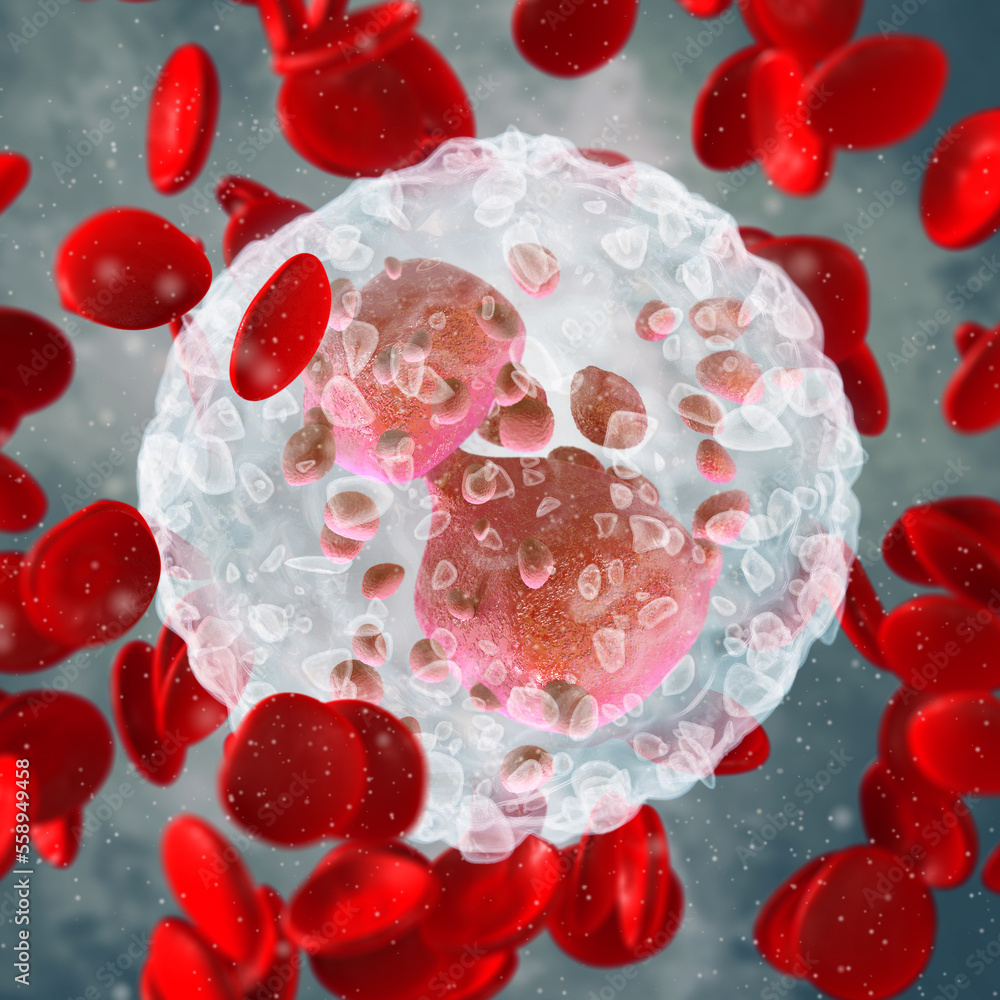 Medical science background, Eosinophils, leukocyte type, multicellular