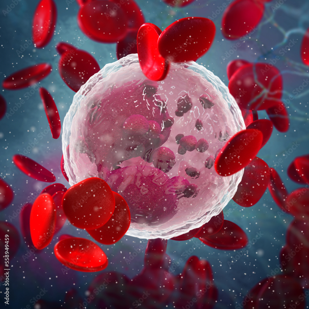 Medical science background, Eosinophils, leukocyte type, multicellular