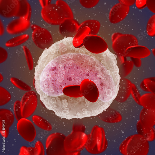 Medical science background, Monocytes, large leukocytes of the mononuclear macrophage system, innate immunity cells, carry pattern recognition receptors, erythrocytes red blood cells 3d rendering photo