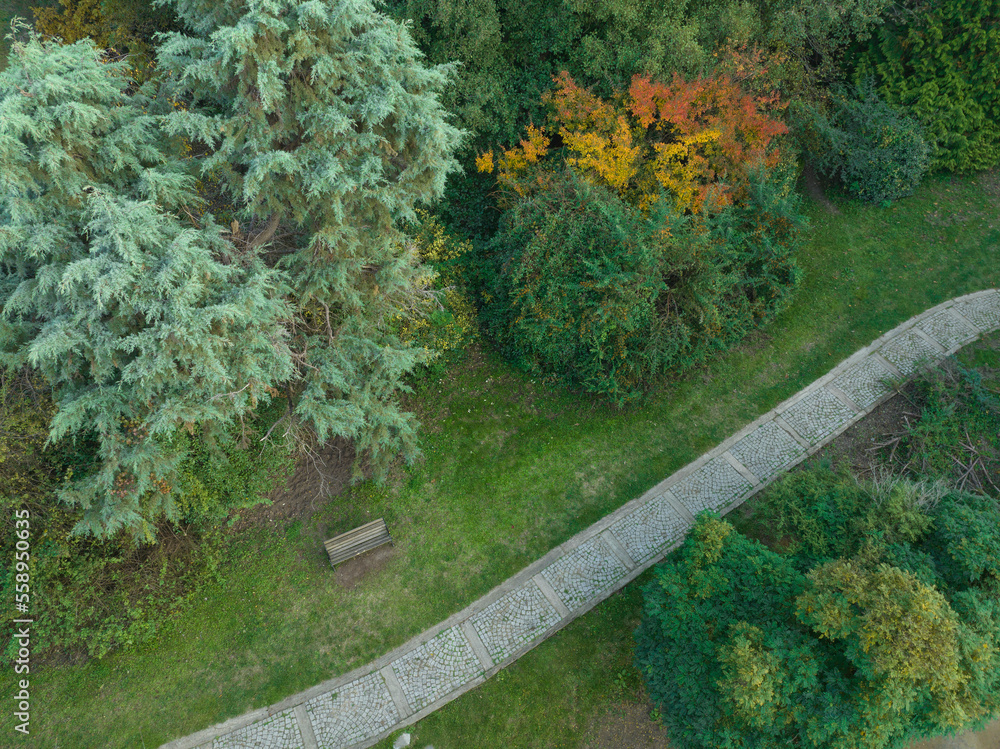 Autumn Season in the Ataturk Arboretum Drone Photo, Bahcekoy Sariyer, Istanbul Turkey 