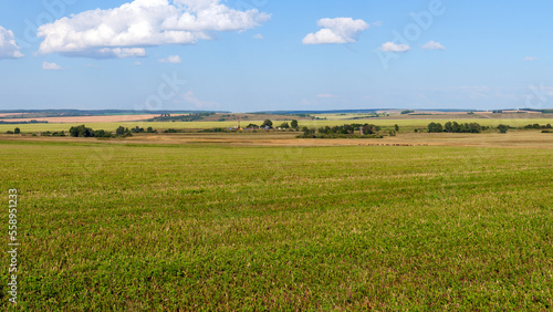 Expanses of Russian land. Panorama of a summer landscape with agricultural fields.