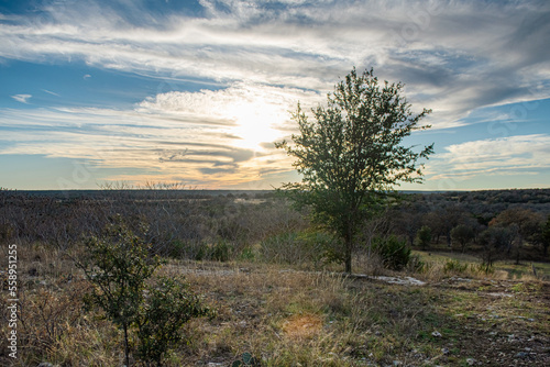 Texas Sky
