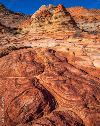 The Wave  Vermillion Cliffs National Monument  Arizona  America  USA.