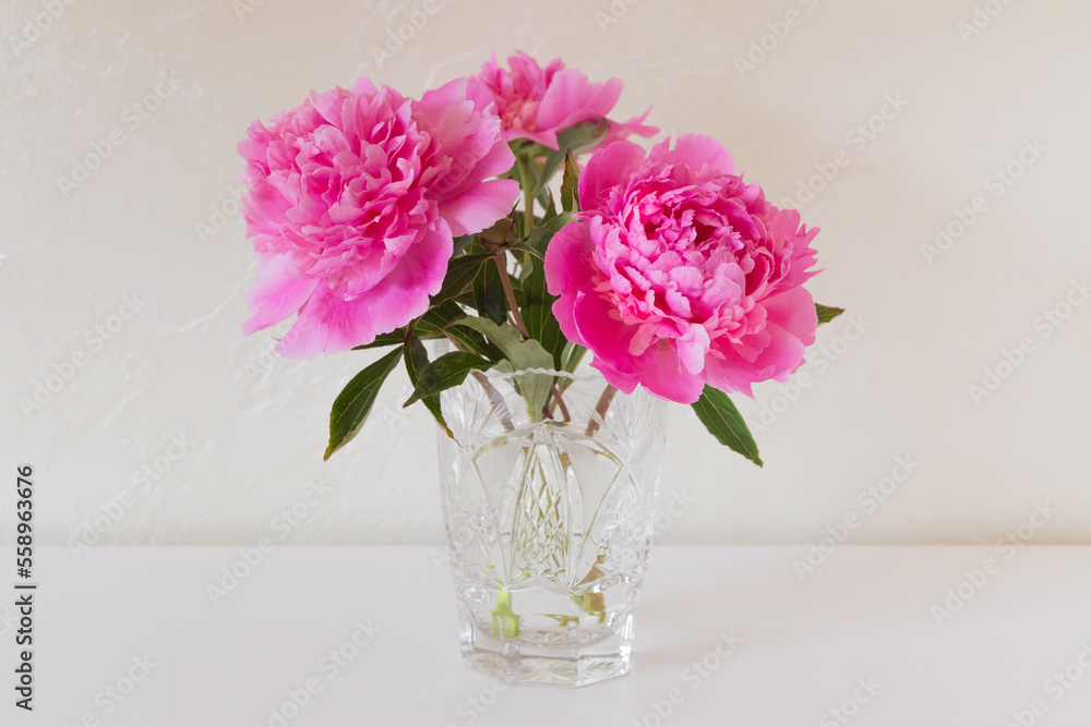 Pink blooming peonies in a crystal vase on a white surface. Pink blooming peonies in a crystal vase on a white surface.