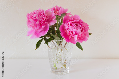 Pink blooming peonies in a crystal vase on a white surface. © Elina